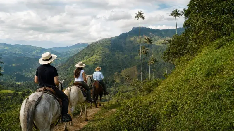Horseback riding